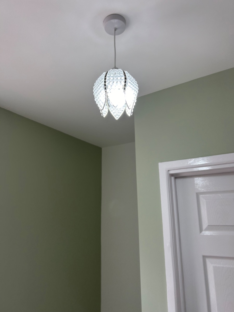 Painter and Decorator: Image 8